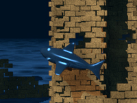 Погоня за акулой
